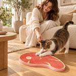Steak-shaped cat scratcher shared by a cat and owner
