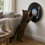 Cat scratching the fixed Basic wall-mounted vinyl record scratcher