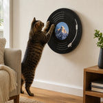 Cat using the Rotating wall-mounted vinyl record scratcher