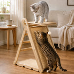 Cat using the upgraded A-frame sisal scratcher with top platform and rear climbing steps