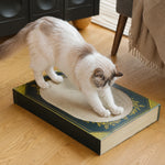 Cat scratching the dense corrugated surface of the book-inspired lounger