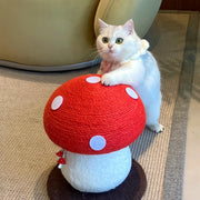 Your Cat Has a Scratcher. So Why Is the Couch Still the Favorite?