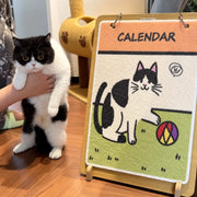 Why Won’t My Cat Use the Scratcher—and How Can I Save My Furniture?