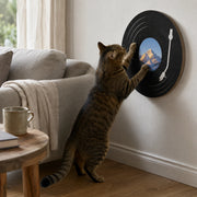 Cat scratching the fixed Basic wall-mounted vinyl record scratcher