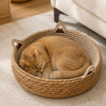 Cat resting comfortably in the handwoven basket bed