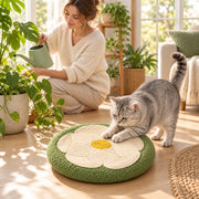 Cat using the flower scratcher in a bright sunroom