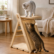 Cat using the upgraded A-frame sisal scratcher with top platform and rear climbing steps