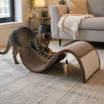 Cat stretching and scratching the textured curved surface