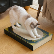 Cat scratching the dense corrugated surface of the book-inspired lounger