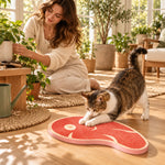 Steak cat scratcher in a bright shared sunroom