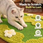 Cat scratching the dense natural sisal surface