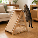 Cat climbing the upgraded scratcher's top platform and rear steps