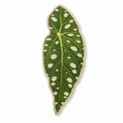 Botanical Leaf Sisal Cat Scratching Mat